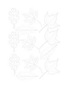 Children's church bulletin about Thanksgiving with leaves for ages 7-12 Children's church bulletin about Thanksgiving with leaves for ages 7-12